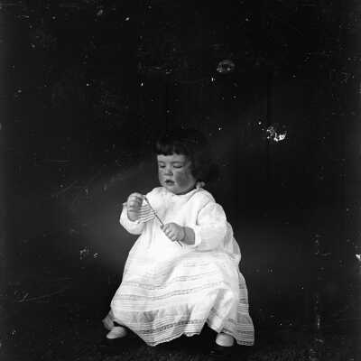 Phebe Bradbury
