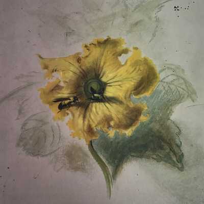 Yellow Flower with Bees