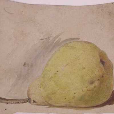 Pear
