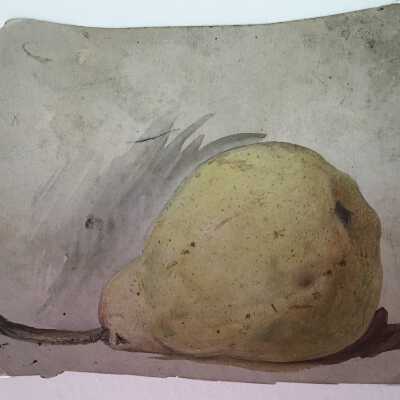 Study of a Pear
