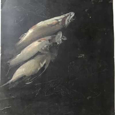 Fish Study