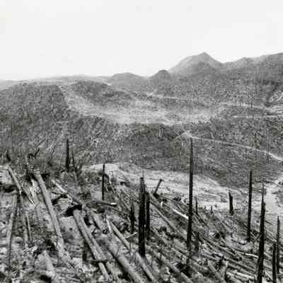 Mt. St. Helens 1982