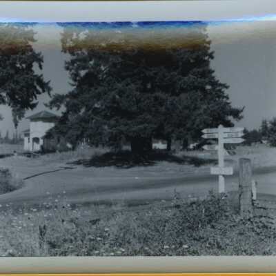 Whiskey Hill School - 1949 - Copy