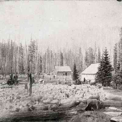 Summit House Mount Hood ca. 1880's