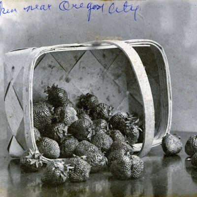 Basket of Strawberries.