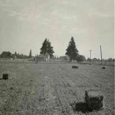 Whiskey Hill School -1949 - Near Hubbard, Oregon