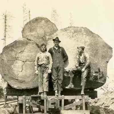 Three Men Standing of Railroad Card with Three Logs