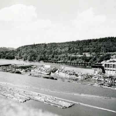 Willamette Falls 1960