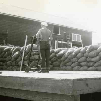 Storing Seeds During WWII at Canby.