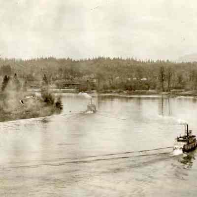 Barnett Album - Steamboats on Willamette below Oregon City