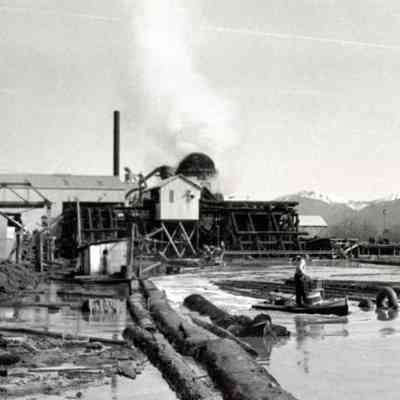 Tillamook Lumber Mill 1962