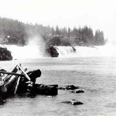 Willamette Falls 1890