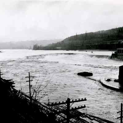 Willamette Falls at Flood Stage