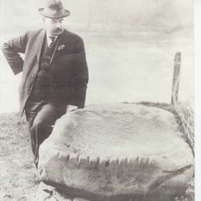 Large Native American Carved Stone with Busch