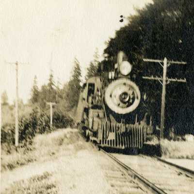 Locomotive Train heading south in Camenah, Oregon