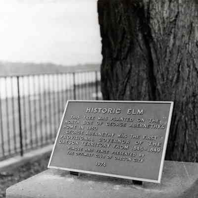 Oregon City Abernethy Elm Marker 1976