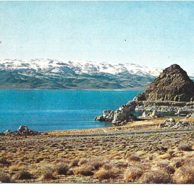 Postcard from "The Mahans" To Mertie Stevens