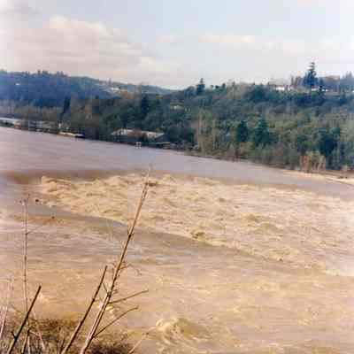 1996 Flood - Willamette Falls Looking Towards West Linn