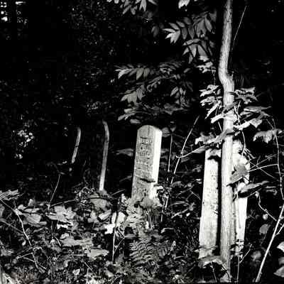 Canemah Cemetery Graves