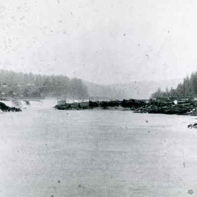 Willamette Falls 1880