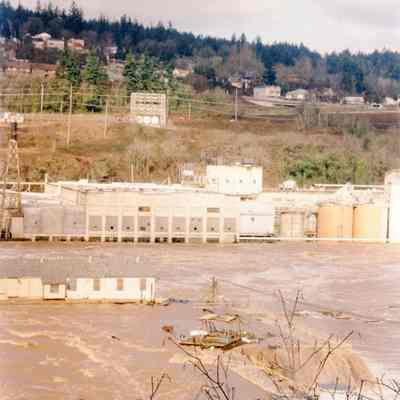 1996 Flood - Willamette River - West Linn Mill