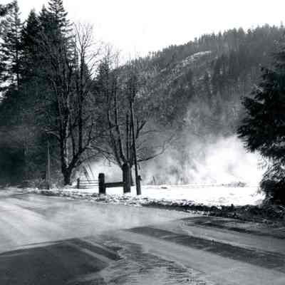 Rhododendron 1965 - Tollgate Campground