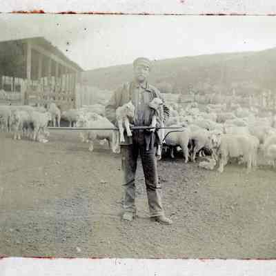 Davis, Fred