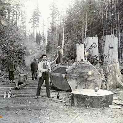Logging Scene - No Date or Location