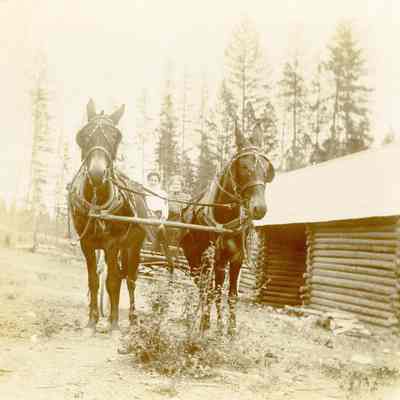 Two (2) Unidentified Women on a Wagon