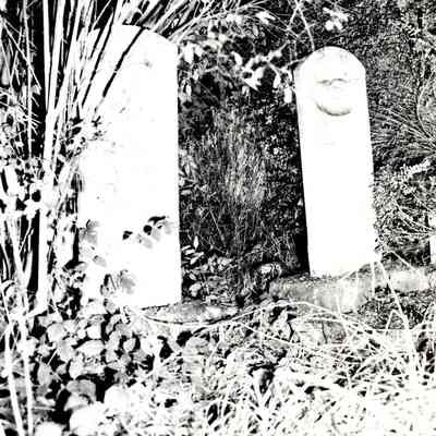 Canemah Cemetery Graves