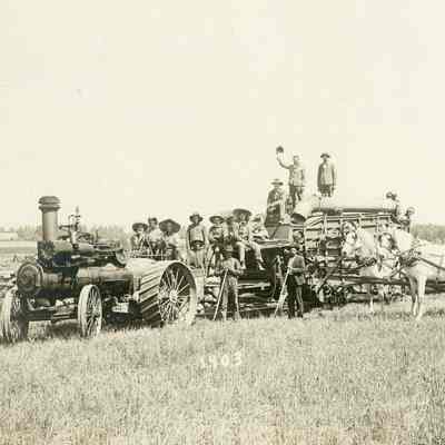 Threshing Tractor Pulled by Steam Engine