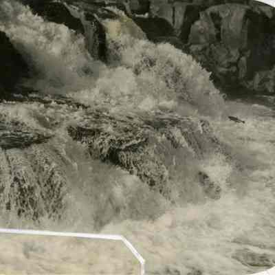 Willamette Falls 1914 - Salmon Jumping