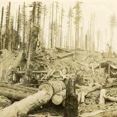 Logging with Aerial Cables and Steam Donkey