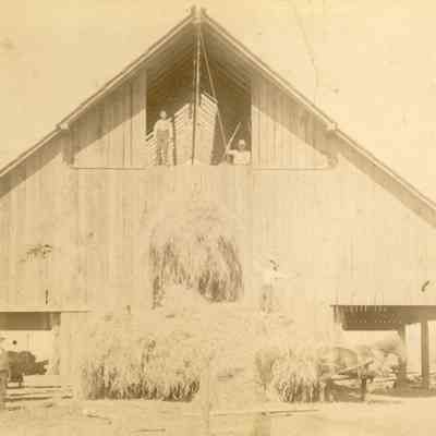 Yamhill County late 1880s - Storing Hay at the Crawford Farm