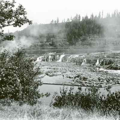 Willamette Falls