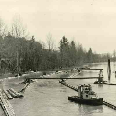 Tug Boat with Load of Logs for the Mill on the Willamette River