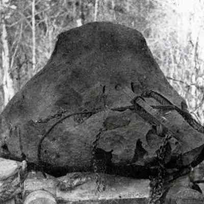 Willamette Meteorite 1903
