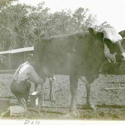 Unidentified Man - Talbert Collection
