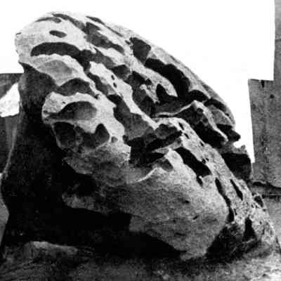 Willamette Meteorite 1903