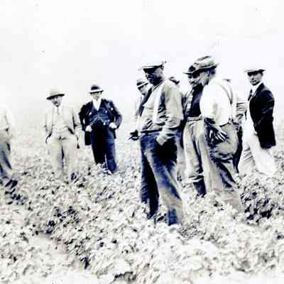 Potato Growers Field Meeting 1930's