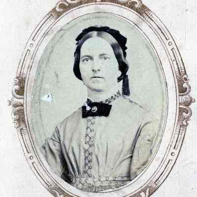 Sarapta - Latourette Family Collection