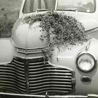 Clarkes 1939 - Ben Elmer Farm - Subterranean Clover