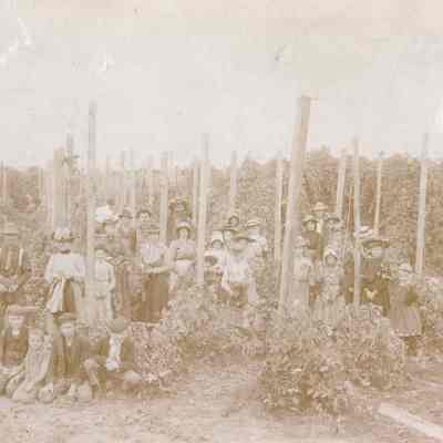Canby - Hop Picking Crew - Unknown Location and Year