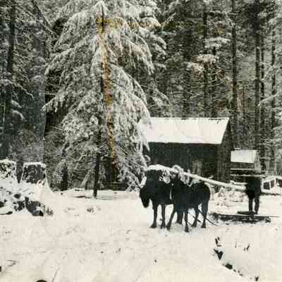 Kerr's Farm House, Redland Oregon