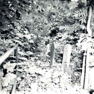 Canemah Cemetery Graves