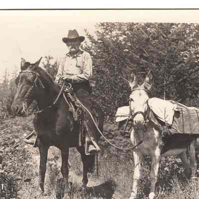 Davis, Joe, Riley (horse) and Judy (mule)
