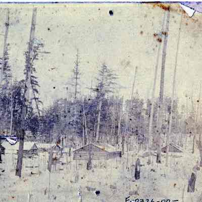 Log Structures in a snow covered forest