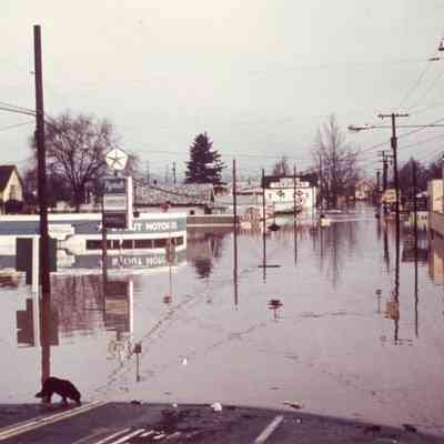 1964 Flood - 14th and Washington Street - Oregon City