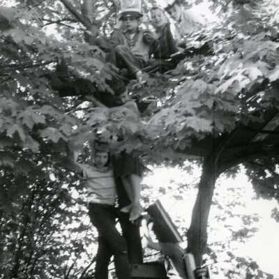 Kids playing in a tree