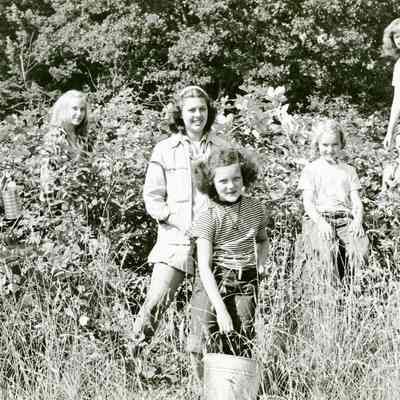 Camp Onahlee 1949 - Picking Berries